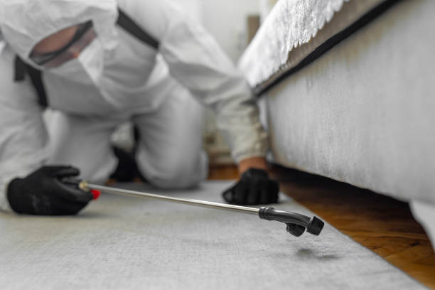 Professional Pest Control technician working in Maywood Park, OR