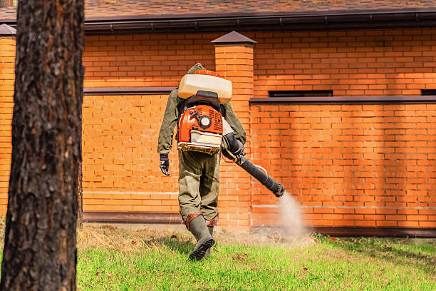 Trusted Ant Control service in Maywood Park, OR - Nex Pest Control